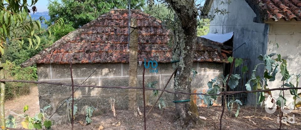 House T3 in Várzea, Aliviada e Folhada of 200 m²