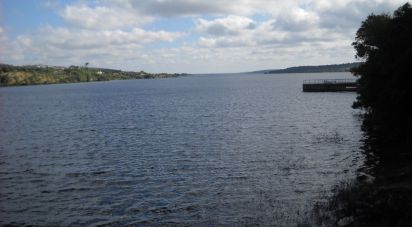 Terrain à bâtir à Montargil de 7 500 m²