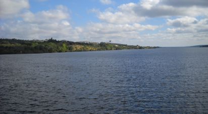 Terrain à bâtir à Montargil de 7 500 m²