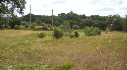 Terrain à bâtir à Montargil de 7 500 m²