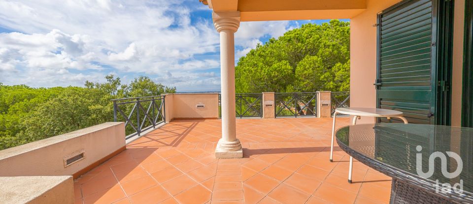 Quinta T14 em Quinta do Anjo de 1 000 m²