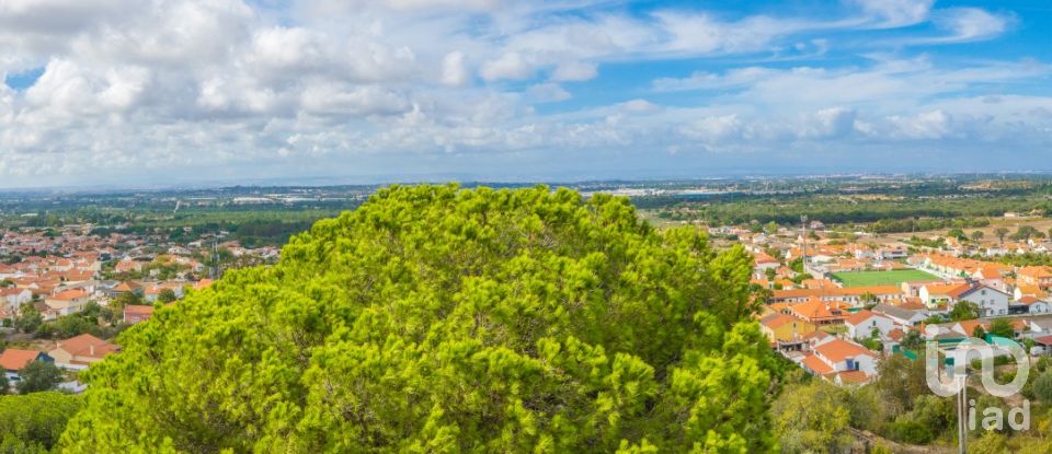 Quinta T14 em Quinta do Anjo de 1 000 m²