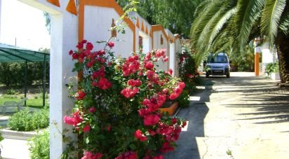 Terrain agricole à Cabeça Gorda de 41 500 m²