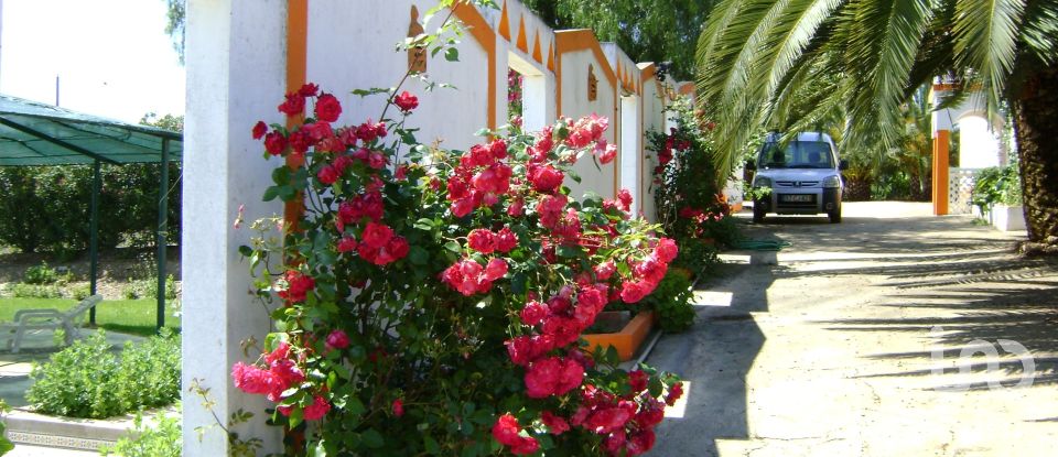 Terrain agricole à Cabeça Gorda de 41 500 m²