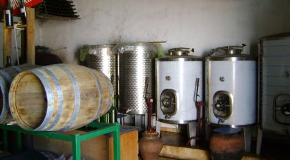 Terrain agricole à Cabeça Gorda de 41 500 m²