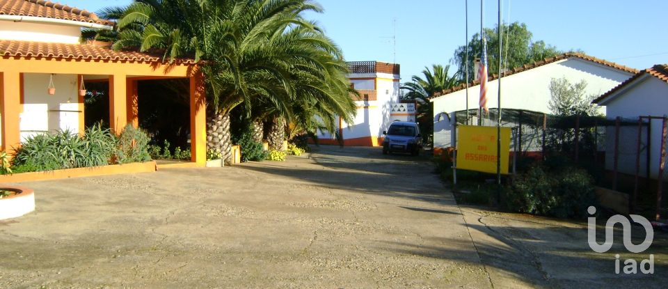 Leisure facility in Cabeça Gorda of 41,500 m²