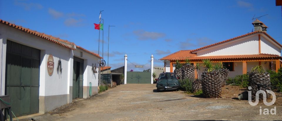 Leisure facility in Cabeça Gorda of 41,500 m²