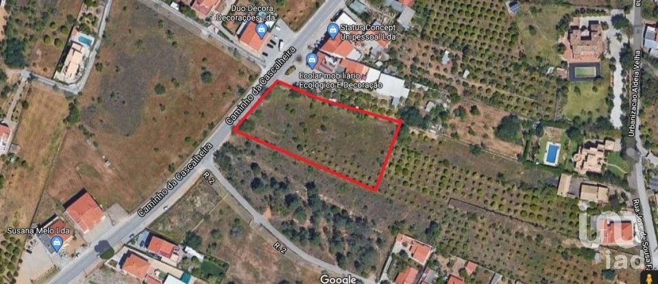 Agricultural land in Quarteira of 3,500 m²