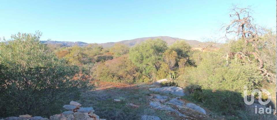 Land in Moncarapacho e Fuseta of 16,080 m²