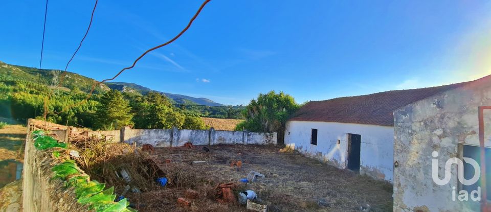 Village house T0 in Lamas e Cercal of 126 m²