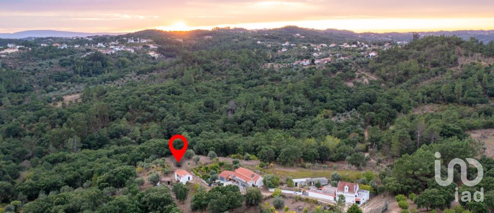 Casa / Villa T2 em Serra e Junceira de 202 m²