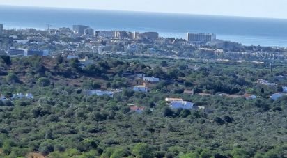 Terrain à Boliqueime de 4 950 m²