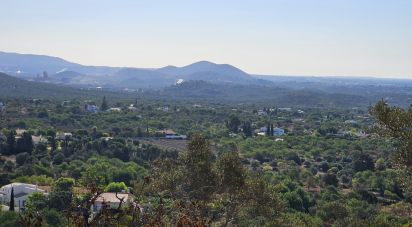 Terrain à Boliqueime de 4 950 m²