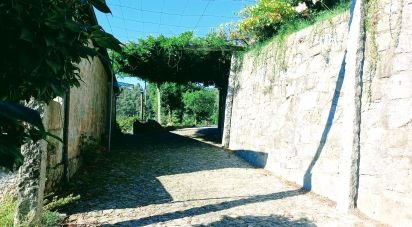 Maison rustique T5 à Vilela, Seramil E Paredes Secas de 232 m²