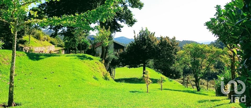 Casa de Campo T5 em Vilela, Seramil E Paredes Secas de 232 m²