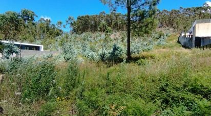 Land in Remelhe of 11,900 m²