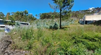 Land in Remelhe of 11,900 m²