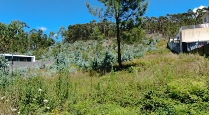 Land in Remelhe of 11,900 m²