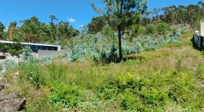 Land in Remelhe of 11,900 m²