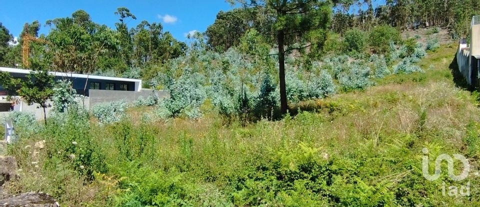 Terreno em Remelhe de 11 900 m²