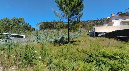 Land in Remelhe of 11,900 m²