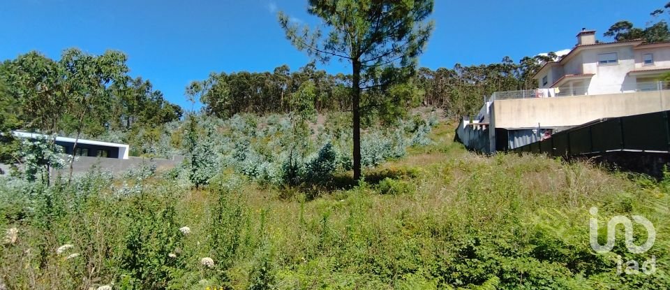 Land in Remelhe of 11,900 m²