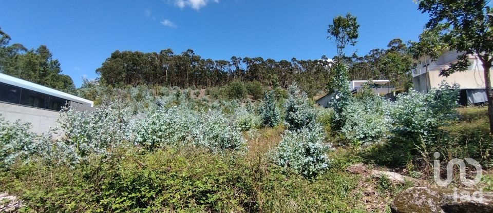 Terreno em Remelhe de 11 900 m²