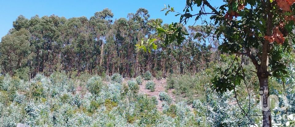 Terreno em Remelhe de 11 900 m²