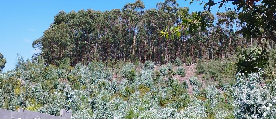 Terreno em Remelhe de 11 900 m²