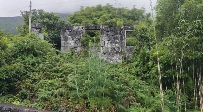 Maison traditionnelle T0 à São Caetano de 205 m²