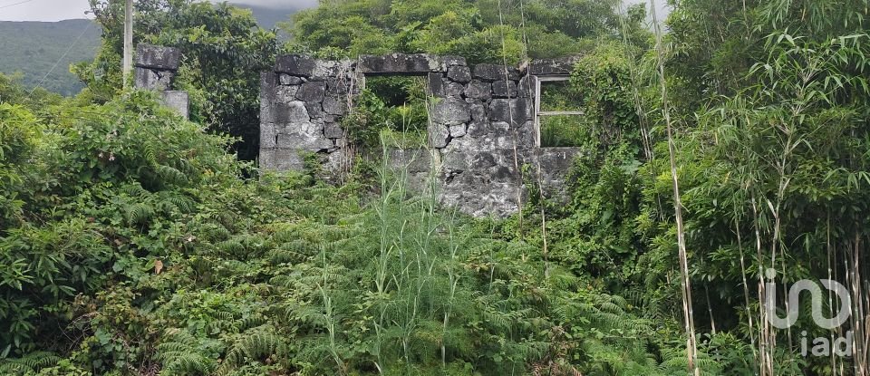 Maison traditionnelle T0 à São Caetano de 205 m²