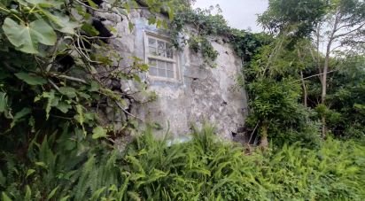 Maison traditionnelle T0 à São Caetano de 205 m²