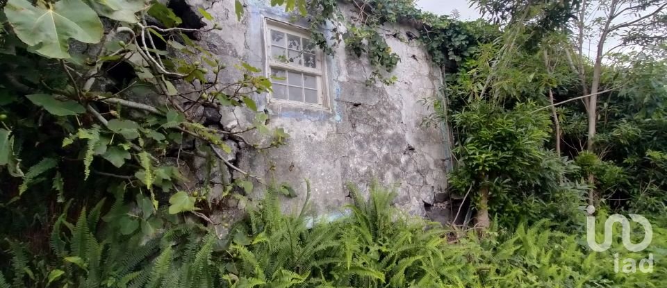 Maison traditionnelle T0 à São Caetano de 205 m²