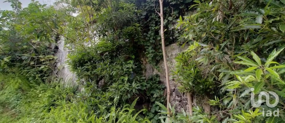 Maison traditionnelle T0 à São Caetano de 205 m²