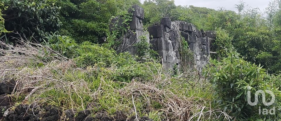 Maison traditionnelle T0 à São Caetano de 205 m²