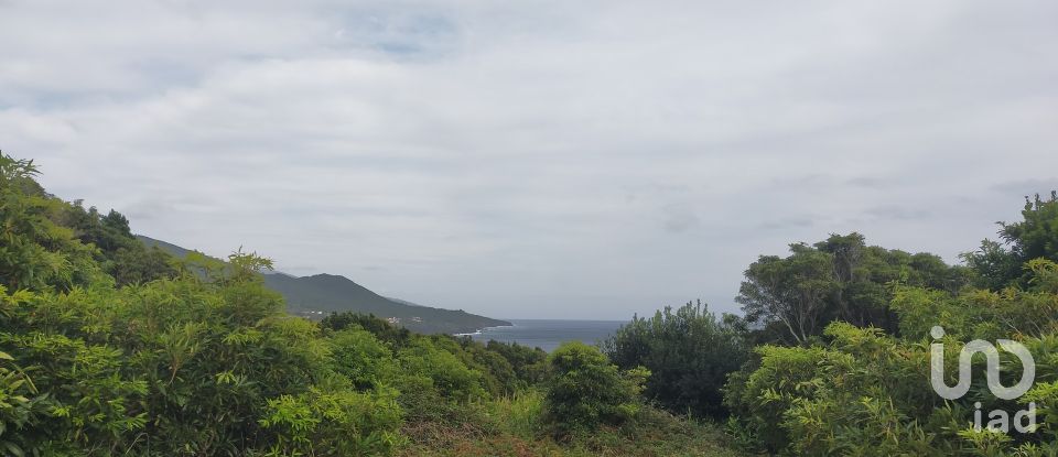 Maison traditionnelle T0 à São Caetano de 205 m²