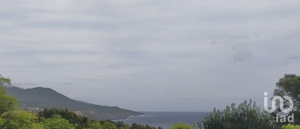 Maison traditionnelle T0 à São Caetano de 205 m²