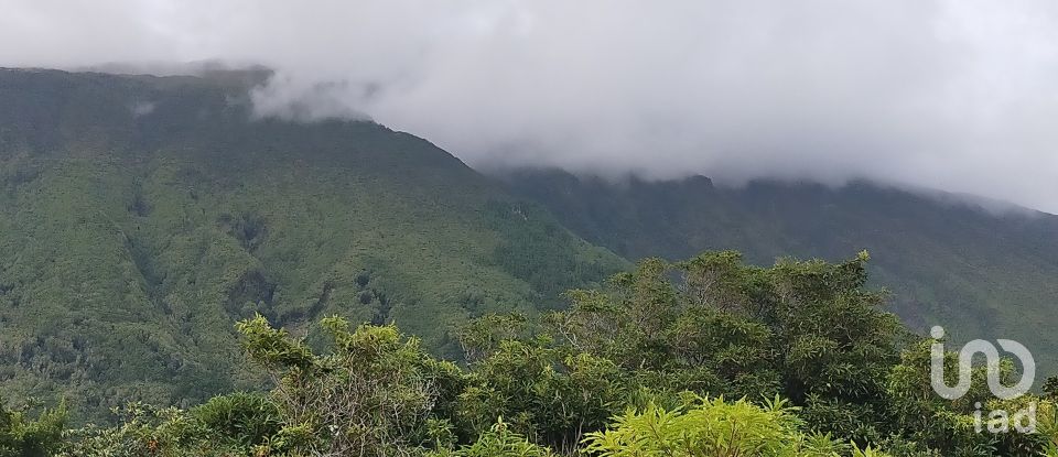 Maison traditionnelle T0 à São Caetano de 205 m²