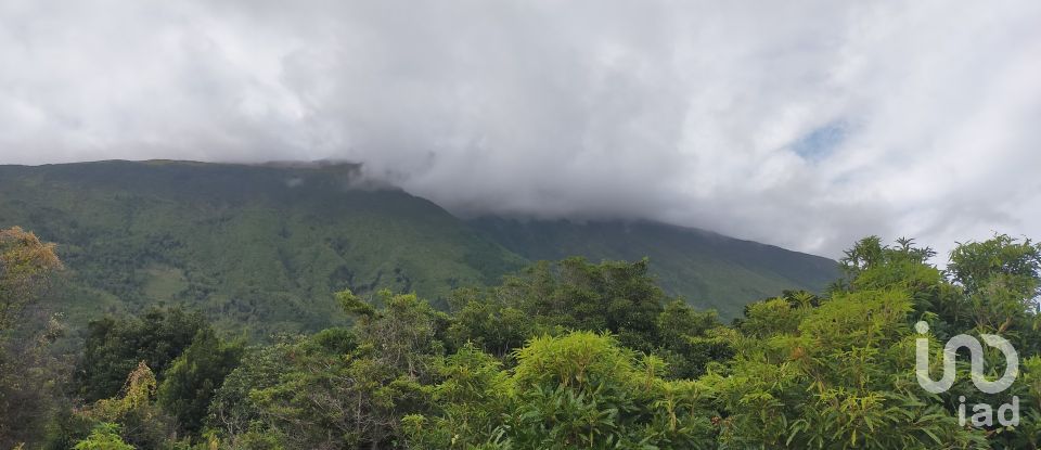 Maison traditionnelle T0 à São Caetano de 205 m²