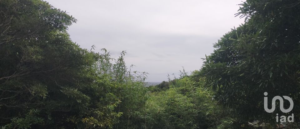 Maison traditionnelle T0 à São Caetano de 205 m²