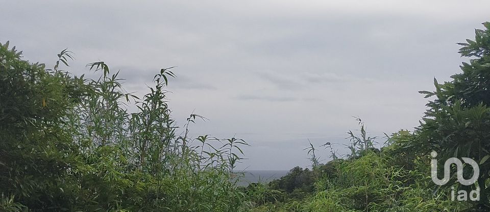 Maison traditionnelle T0 à São Caetano de 205 m²