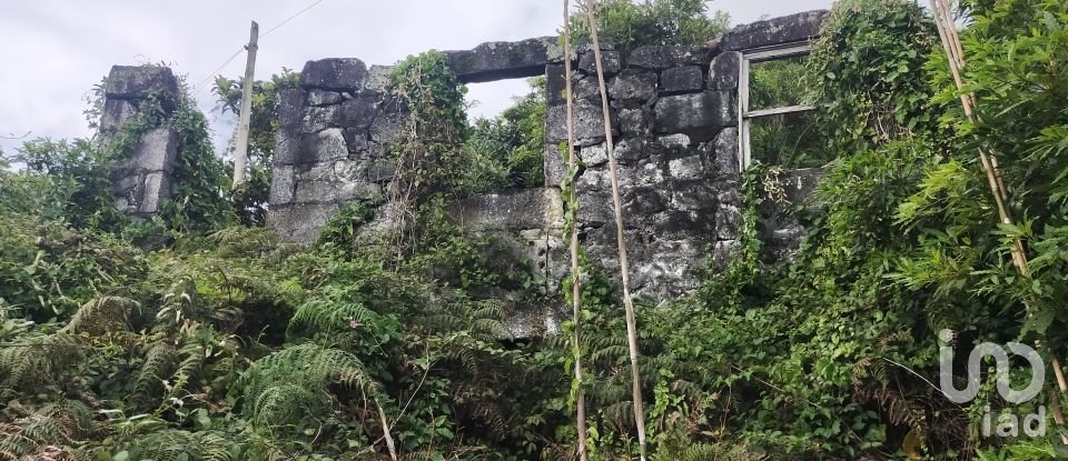 Maison traditionnelle T0 à São Caetano de 205 m²