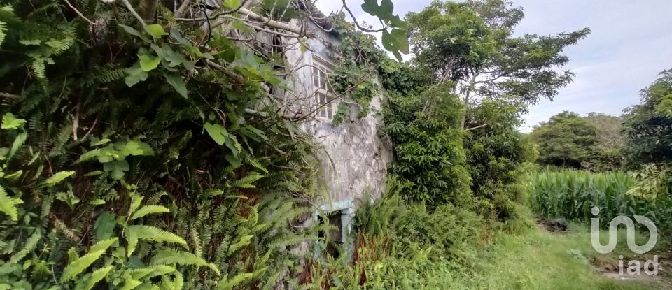 Maison traditionnelle T0 à São Caetano de 205 m²