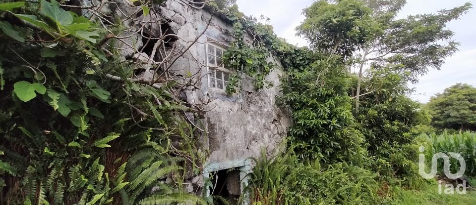 Maison traditionnelle T0 à São Caetano de 205 m²