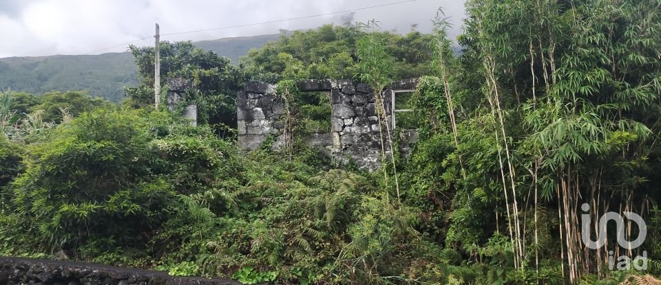 Maison traditionnelle T0 à São Caetano de 205 m²