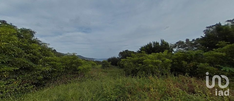 Maison traditionnelle T0 à São Caetano de 205 m²