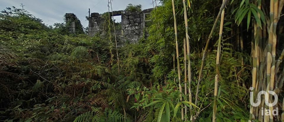 Maison traditionnelle T0 à São Caetano de 205 m²