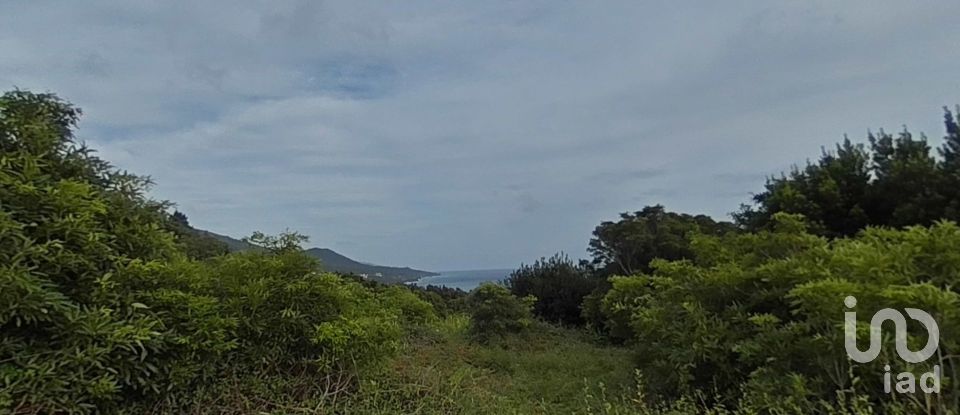 Maison traditionnelle T0 à São Caetano de 205 m²