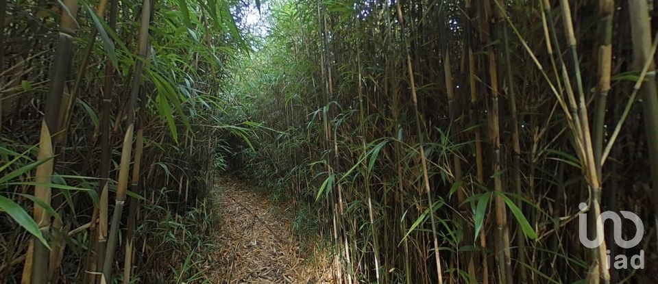 Maison traditionnelle T0 à São Caetano de 205 m²