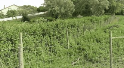 Land in Malveira e São Miguel de Alcainça of 2,360 m²